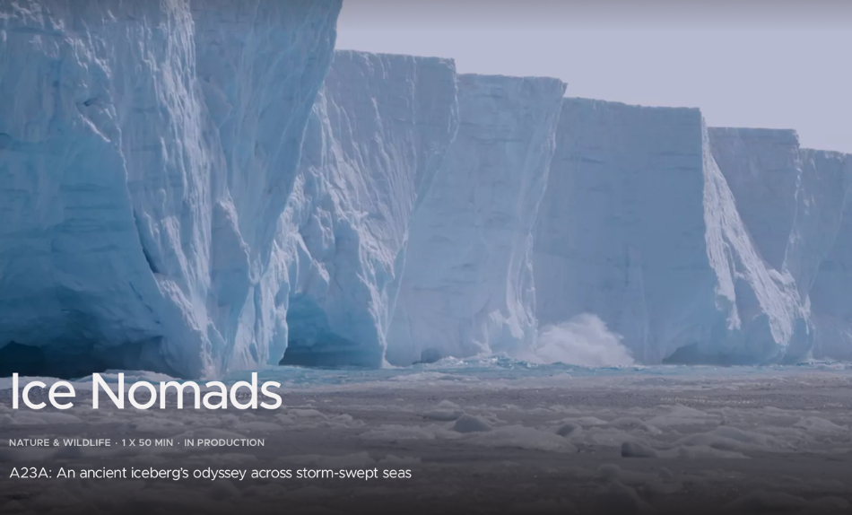 Le Radeau des Glaces 