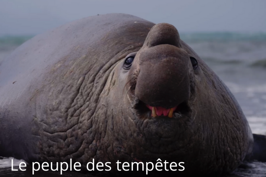 The People of the Storms