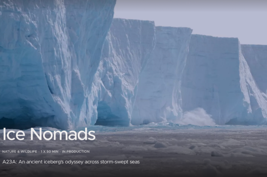 Le Radeau des Glaces 