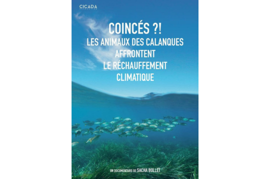 Coincés ?! Les animaux des calanques affrontent le réchauffement climatique 