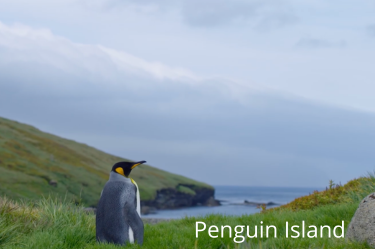 Penguin Island